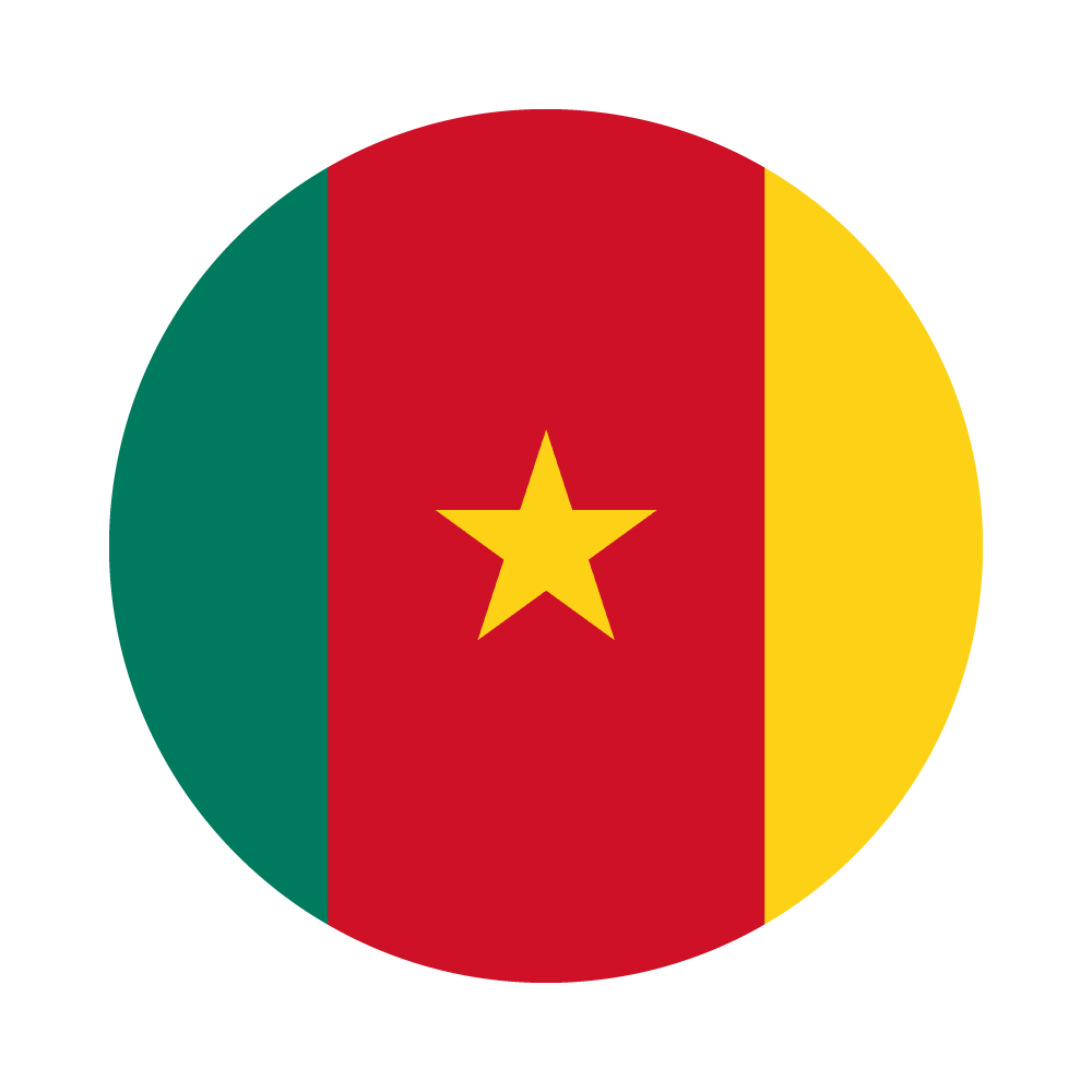 drapeau-cameroun